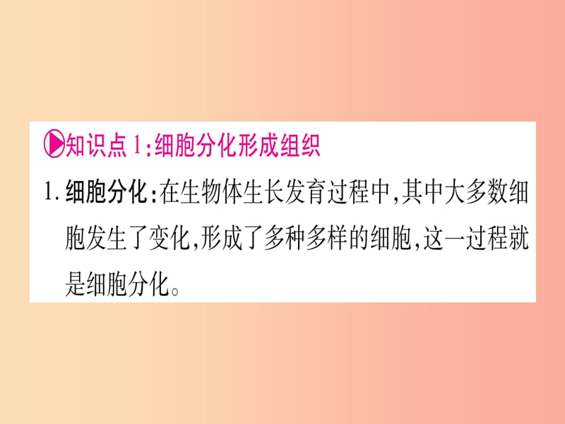 （贵港地区）2019年中考生物总复习 七上 第2单元 第4章 生物体的结构层次课件.ppt_第2页