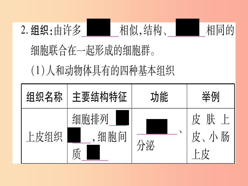 （贵港地区）2019年中考生物总复习 七上 第2单元 第4章 生物体的结构层次课件.ppt_第3页