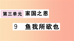 （江西專用）九年級語文下冊 第三單元 9 魚我所欲也習(xí)題課件 新人教版.ppt