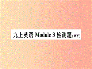 广西2019秋九年级英语上册 Module 3 Heroes检测题习题课件（新版）外研版.ppt