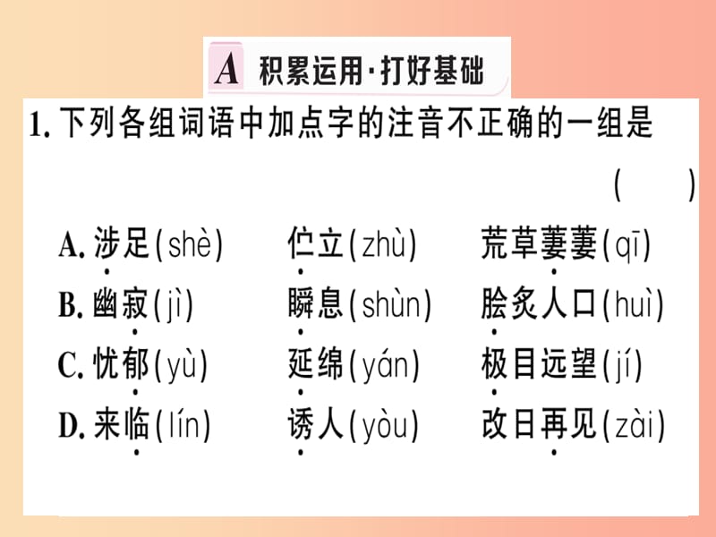 （武汉专版）2019春七年级语文下册 第五单元 19 外国诗二首习题课件 新人教版.ppt_第2页