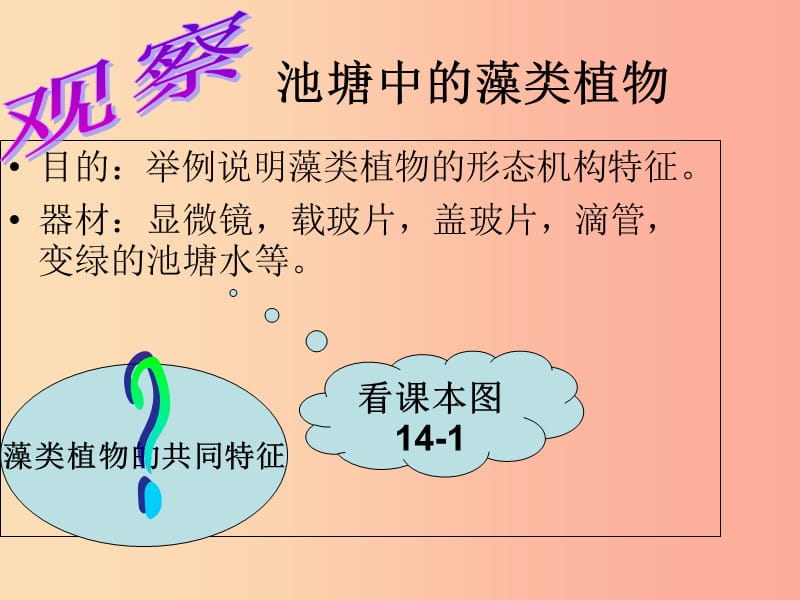 八年级生物上册 14.1 五彩缤纷的植物世界课件 （新版）苏教版.ppt_第3页