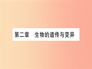 （玉林專版）2019年中考生物總復習 八下 第7單元 第2章 生物的遺傳與變異習題課件.ppt