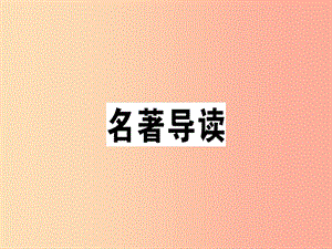 （安徽專版）2019春七年級語文下冊 第三單元名著導(dǎo)讀習(xí)題課件 新人教版.ppt