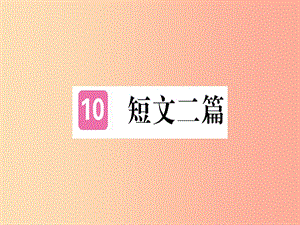 （河北專用）2019年八年級(jí)語文上冊(cè) 第三單元 10 短文二篇習(xí)題課件 新人教版.ppt