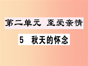 （江西專版）2019年七年級語文上冊 第二單元 5 秋天的懷念習題課件 新人教版.ppt