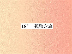 （云南專版）2019年九年級(jí)語(yǔ)文上冊(cè) 16 孤獨(dú)之旅作業(yè)課件 新人教版.ppt