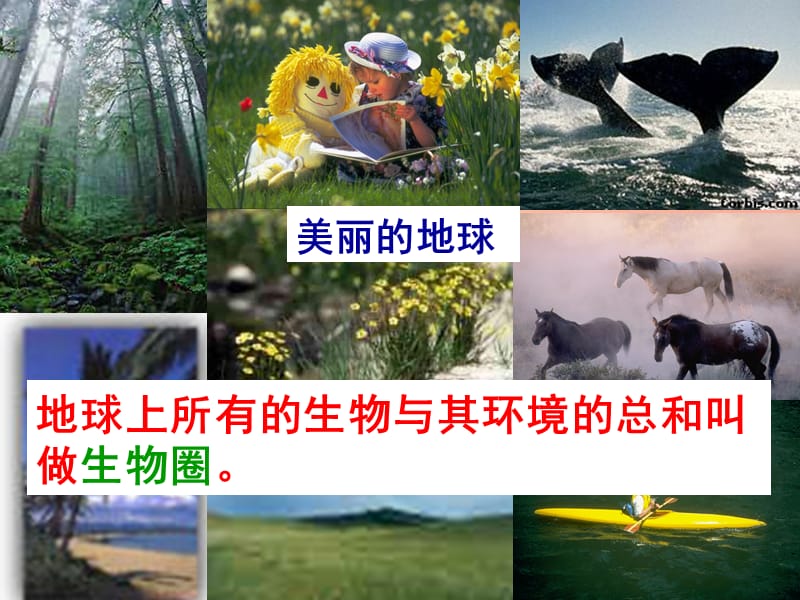 陕西省七年级生物上册 1.2.1生物与环境的关系课件 新人教版.ppt_第1页