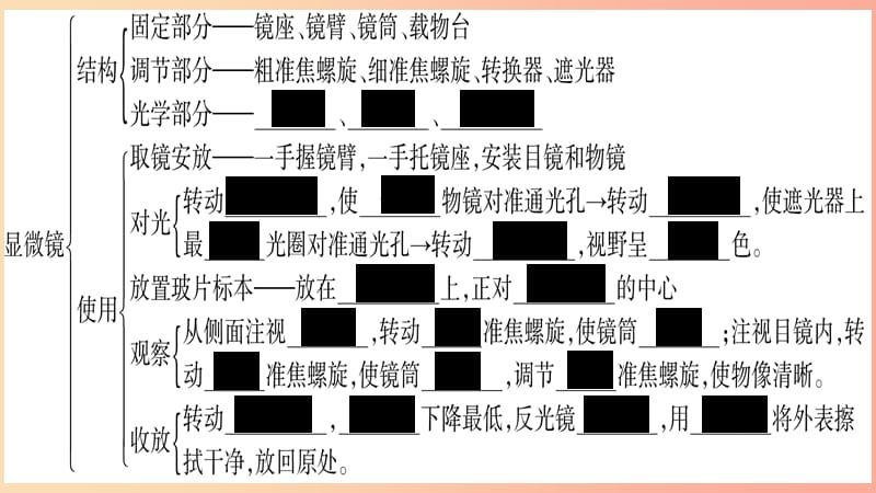 2019年七年级生物上册第2单元生物体的结构归纳与提升习题课件（新版）北师大版.ppt_第3页