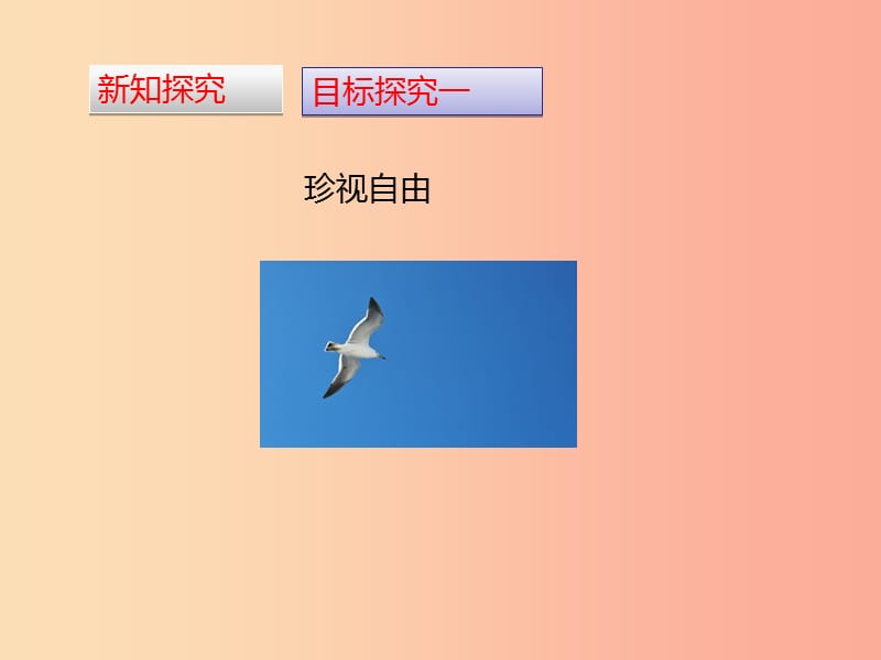 2019春八年级道德与法治下册 第四单元 崇尚法治精神 7.2 自由平等的追求同步课件 新人教版.ppt_第3页