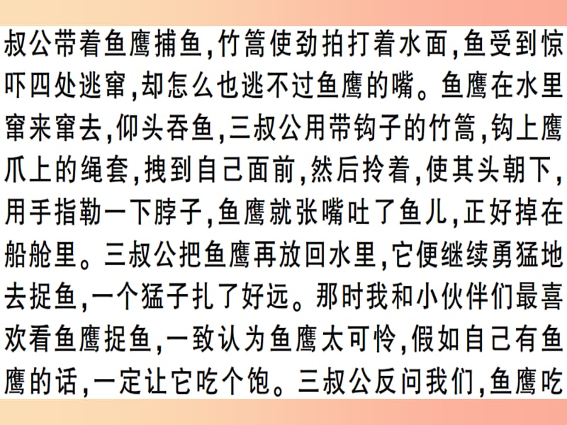 （安徽专版）2019春八年级语文下册 专题复习六 记叙文阅读习题课件 新人教版.ppt_第3页