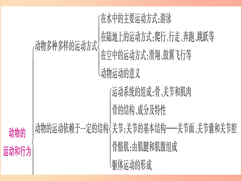 2019年中考生物 专题综合突破5 动物的运动与行为复习课件 冀教版.ppt_第2页