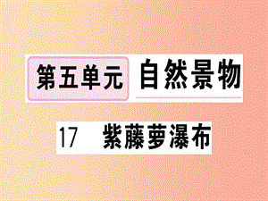 （武漢專版）2019春七年級語文下冊 第五單元 17紫藤蘿瀑布習(xí)題課件 新人教版.ppt