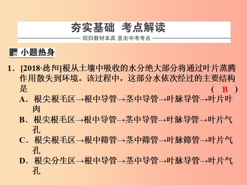 浙江省中考科学（生物部分）第一篇 主题2 第一单元 绿色植物的物质与能量的转换（1）课件.ppt_第2页