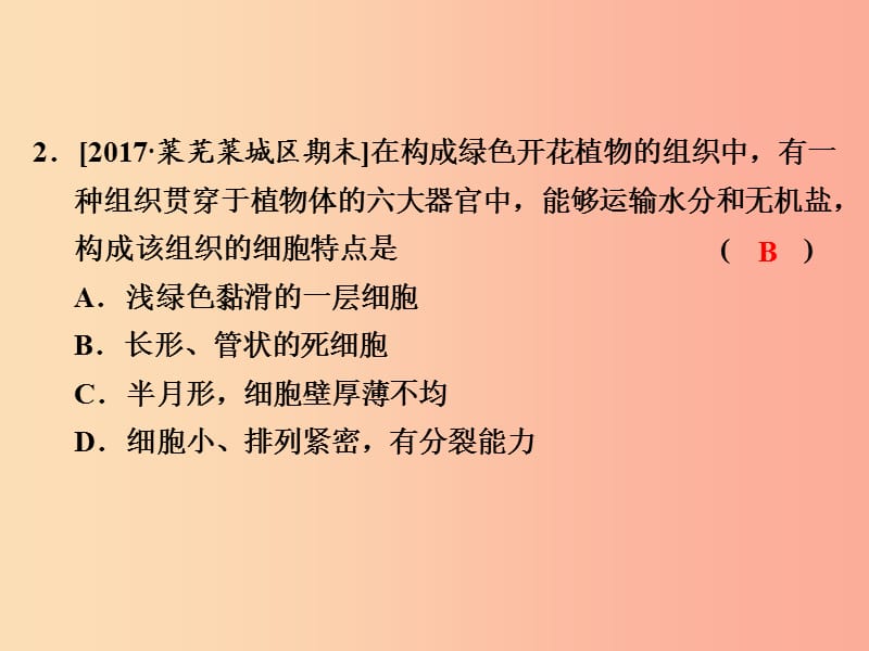 浙江省中考科学（生物部分）第一篇 主题2 第一单元 绿色植物的物质与能量的转换（1）课件.ppt_第3页