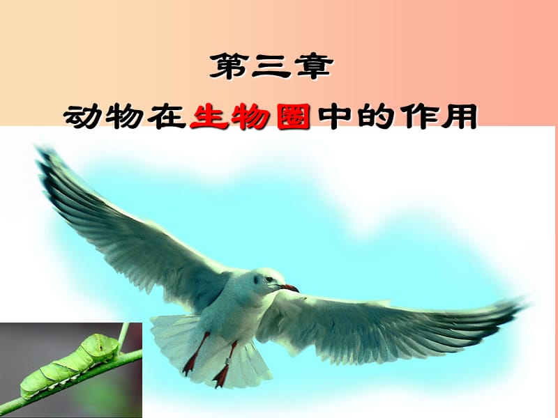 八年級(jí)生物上冊(cè) 5.3《動(dòng)物在生物圈中的作用》課件4 新人教版.ppt_第1頁(yè)