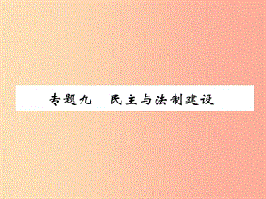 （貴陽(yáng)專版）2019屆中考?xì)v史總復(fù)習(xí) 第二編 熱點(diǎn)專題速查篇 專題9 民主與法制建設(shè)（精練）課件.ppt