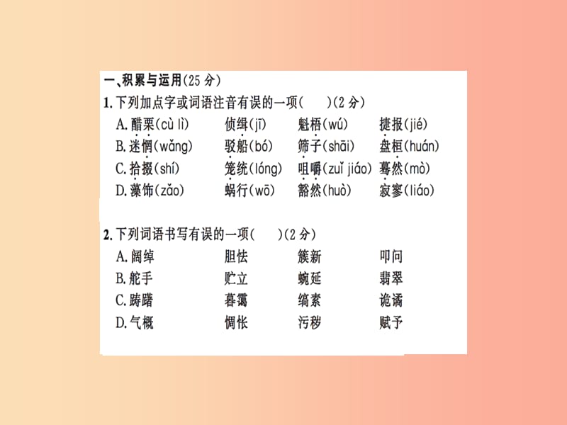 2019九年级语文下册 期末测试习题课件 新人教版.ppt_第2页