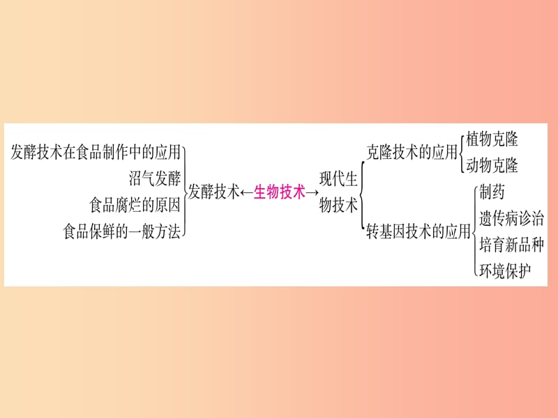 （玉林专版）2019年中考生物总复习 第2部分 知能综合突破 专题8 生物技术课件.ppt_第2页