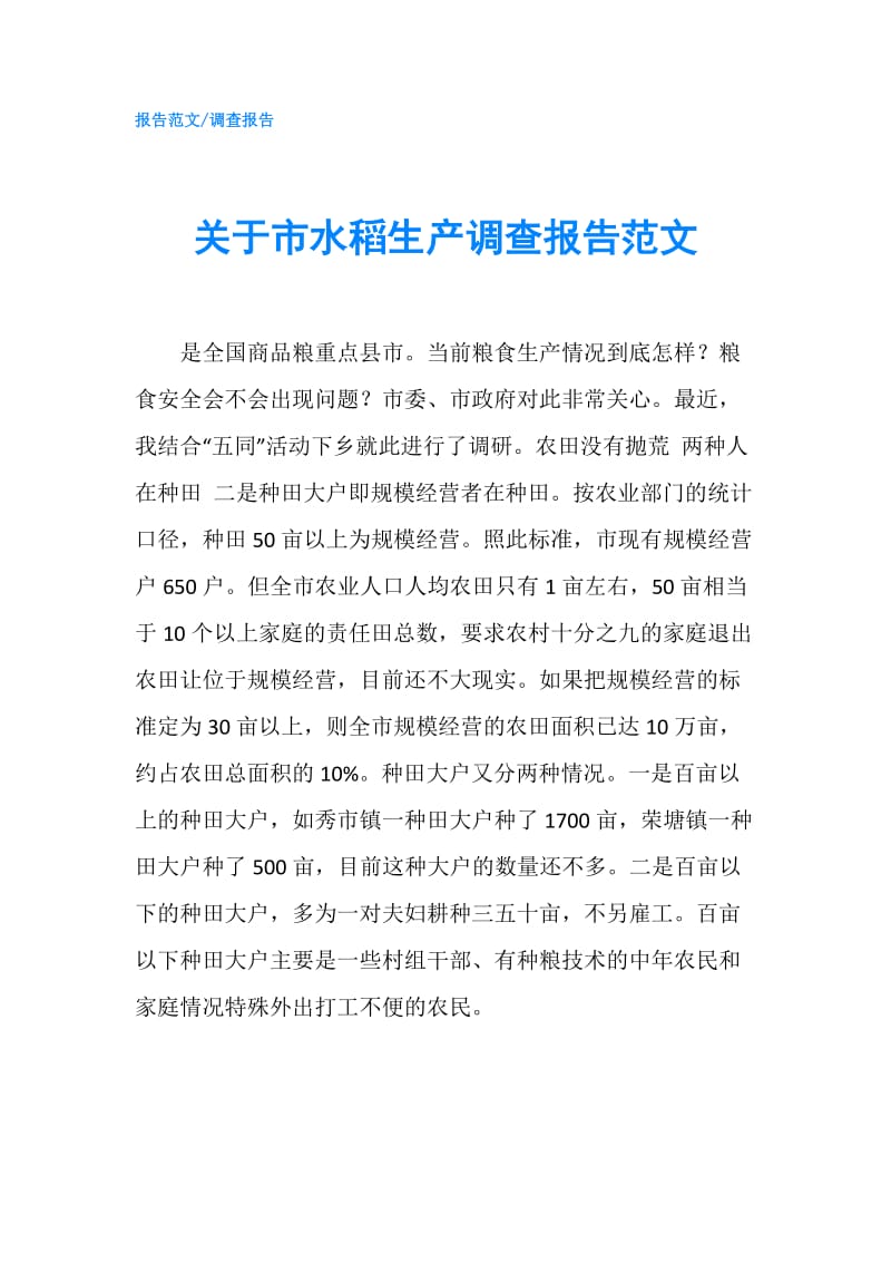 关于市水稻生产调查报告范文.doc_第1页