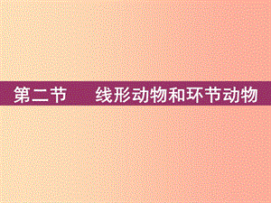 八年級生物上冊 5.1.2《線形動物和環(huán)節(jié)動物》課件3 新人教版.ppt