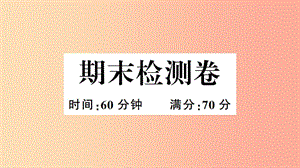 （安徽專版）2019春八年級歷史下冊 期末檢測卷習(xí)題課件 新人教版.ppt