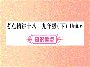 （課標(biāo)版）2019年中考英語準(zhǔn)點備考 第一部分 教材系統(tǒng)復(fù)習(xí) 考點精講十八 九下 Unit 6課件.ppt