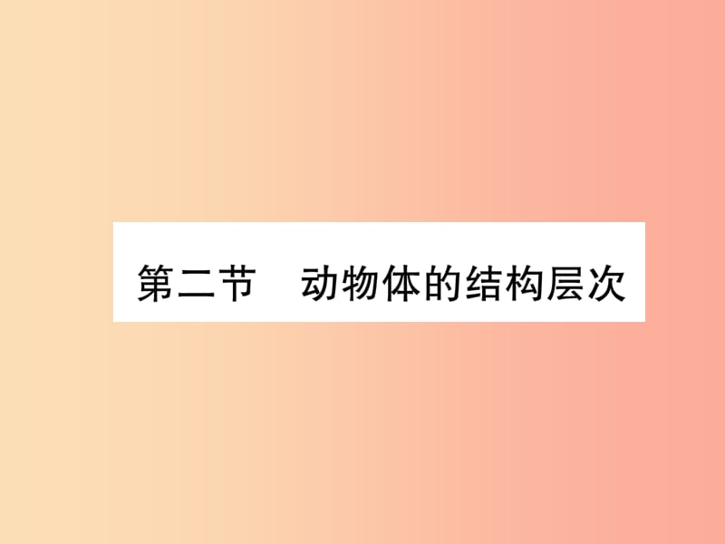 2019年七年级生物上册 2.2.2 动物体的结构层次习题课件 新人教版.ppt_第1页