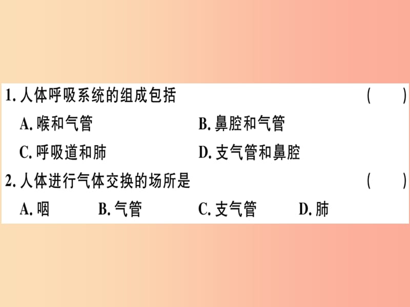 2019七年级生物下册第四单元第三章人体的呼吸检测卷课件 新人教版.ppt_第2页