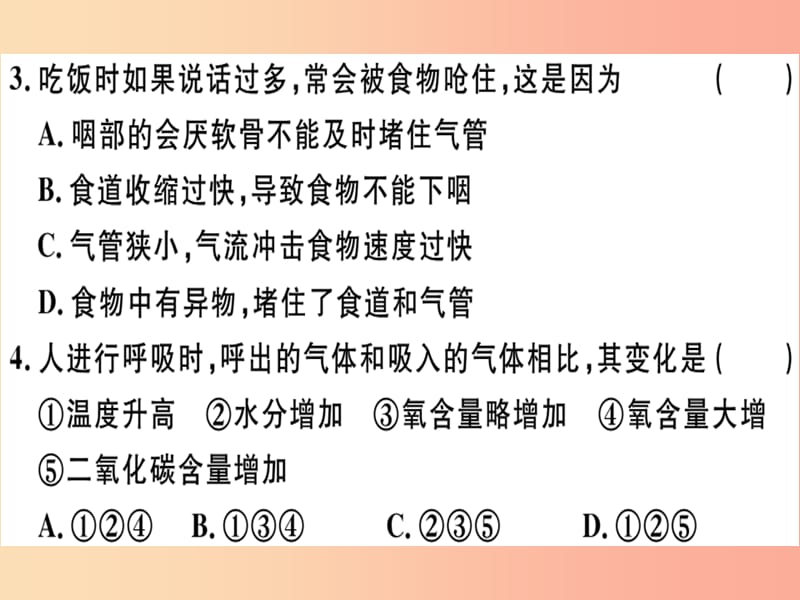 2019七年级生物下册第四单元第三章人体的呼吸检测卷课件 新人教版.ppt_第3页