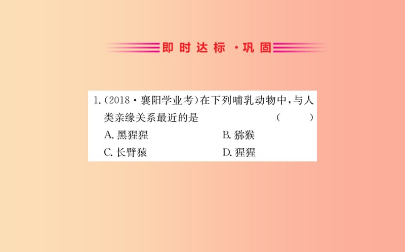 2019版七年级生物下册 第四单元 生物圈中的人 第一章 人的由来 1 人类的起源和发展训练课件 新人教版.ppt_第2页