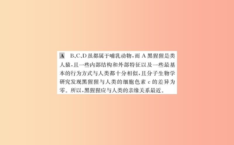 2019版七年级生物下册 第四单元 生物圈中的人 第一章 人的由来 1 人类的起源和发展训练课件 新人教版.ppt_第3页