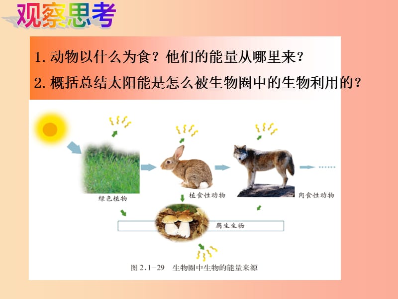 七年级生物上册2.1.5绿色植物在生物圈中的作用课件2新版济南版.ppt_第3页