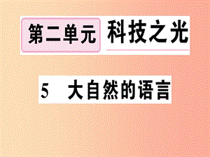 （河南專版）2019春八年級語文下冊 第二單元 5 大自然的語言習(xí)題課件 新人教版.ppt