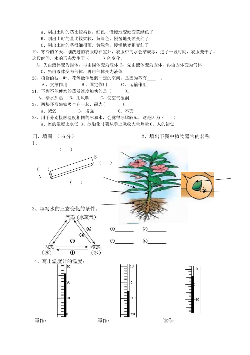 2019年三年级下册科学竞赛测试题.doc_第3页