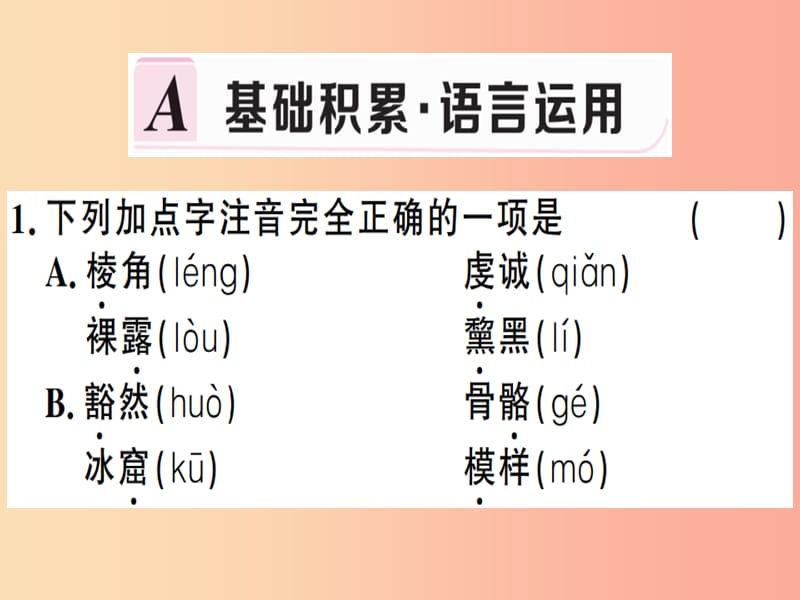 （贵州专版）2019春八年级语文下册 第五单元 18 在长江源头各拉丹冬习题课件 新人教版.ppt_第2页