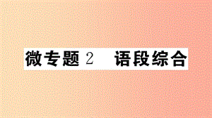 （安徽專(zhuān)版）八年級(jí)語(yǔ)文上冊(cè) 微專(zhuān)題2 語(yǔ)段綜合習(xí)題課件 新人教版.ppt