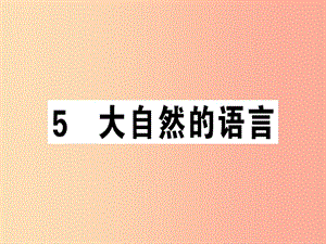 （安徽專版）2019春八年級語文下冊 第二單元 5大自然的語言習(xí)題課件 新人教版.ppt