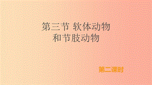 八年級生物上冊 5.1.3《軟體動物和節(jié)肢動物》（第2課時）課件 新人教版.ppt