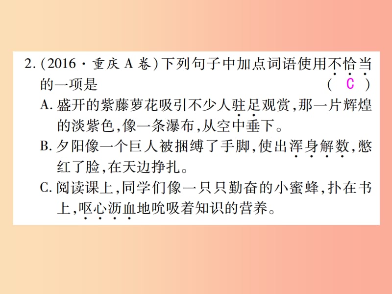 2019届中考语文复习 第一部分 语文知识及运用 专题二 词语、成语的理解与运用课件.ppt_第3页