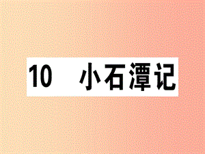 （江西專版）2019春八年級語文下冊 第三單元 10 小石潭記習(xí)題課件 新人教版.ppt