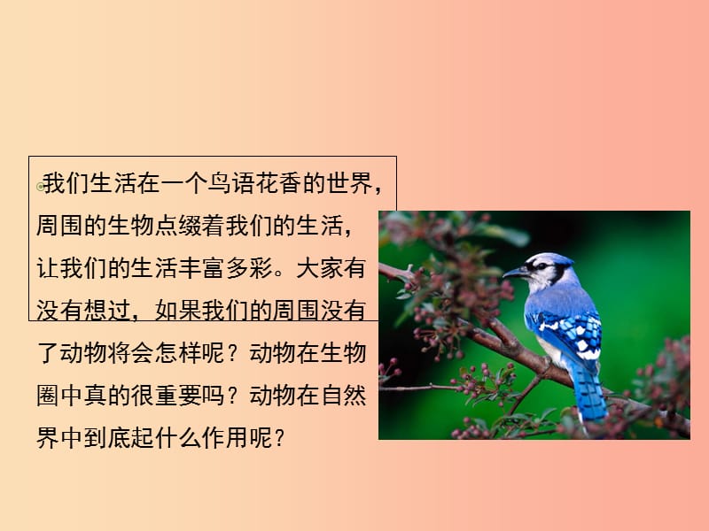 八年级生物上册 7.3.1《动物在自然界中的作用》课件1 鲁科版五四制.ppt_第2页