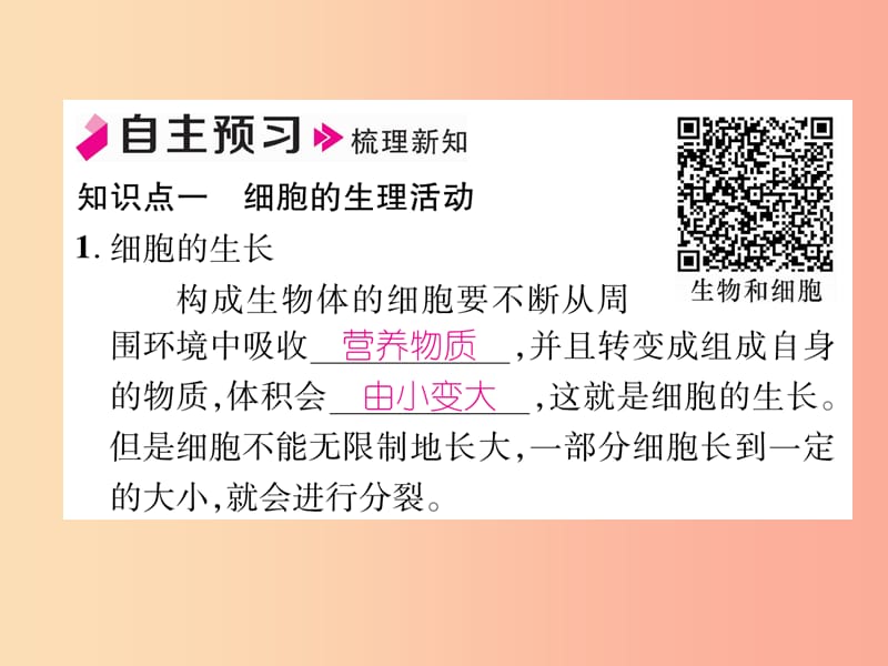 2019年七年级生物上册 2.2.1 细胞通过分裂产生新细胞习题课件 新人教版.ppt_第2页