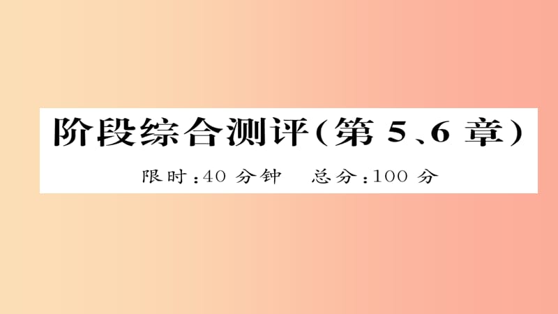 （遵义专版）2019中考化学总复习 第1编 教材知识梳理篇 阶段综合测评（第5、6章）课件.ppt_第1页