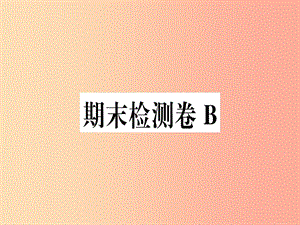 （河南專用）八年級(jí)語文上冊(cè) 期末檢測(cè)卷B習(xí)題課件 新人教版.ppt