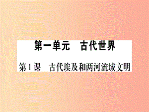 廣西2019年秋九年級歷史上冊 第1單元 古代世界 第1課 古代埃及和兩河流域文明課件 中華書局版.ppt