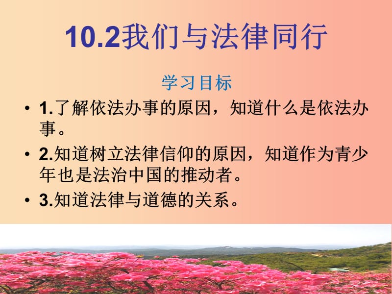 广东省七年级道德与法治下册 第四单元 走进法治天地 第十课 法律伴我们成长 第2框 我们与法律同行.ppt_第1页