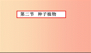 2019年七年級生物上冊 3.1.2《種子植物》課件3 新人教版.ppt