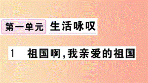 （江西專用）九年級語文下冊 第一單元 1 祖國啊我親愛的祖國習題課件 新人教版.ppt