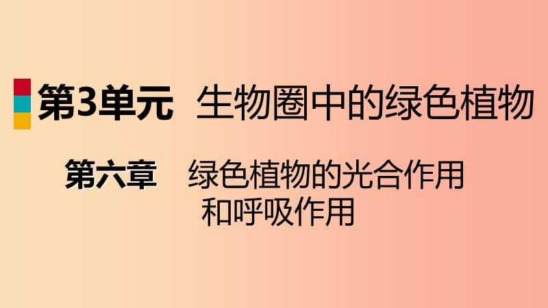 2019年七年级生物上册 第三单元 第六章 第二节 植物光合作用的场所课件（新版）苏教版.ppt_第1页